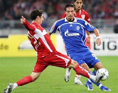 浙江队近日 浙江队近日